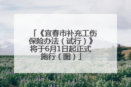 《宜春市补充工伤保险办法（试行）》将于6月1日起正式施行（图）