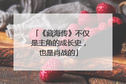 《藏海传》不仅是主角的成长史，也是肖战的