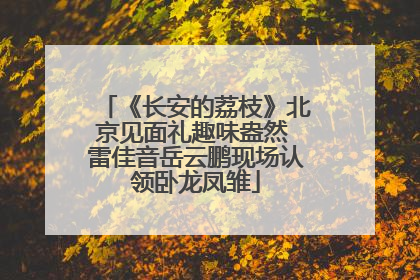 《长安的荔枝》北京见面礼趣味盎然 雷佳音岳云鹏现场认领卧龙凤雏