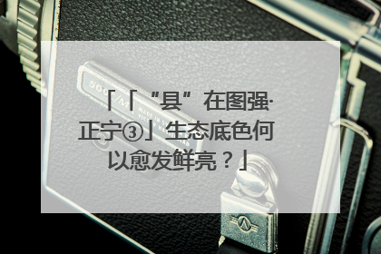 「“县”在图强·正宁③」生态底色何以愈发鲜亮？