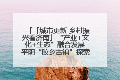「城市更新 乡村振兴看济南」“产业+文化+生态”融合发展 平阴“胶乡古镇”探索振兴路径成效显著