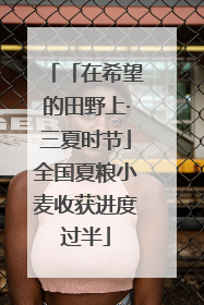 「在希望的田野上·三夏时节」全国夏粮小麦收获进度过半