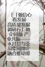 「强信心 看发展·高质量发展调研行」地企同频 产业共振——永昌县与金川集团地企融合推动重大项目建设