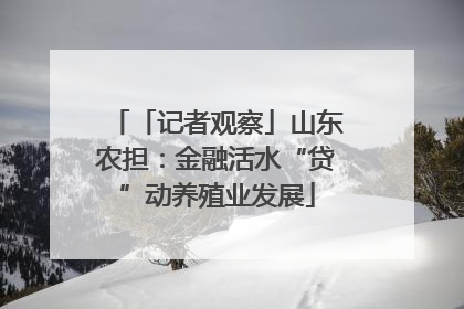 「记者观察」山东农担：金融活水“贷”动养殖业发展