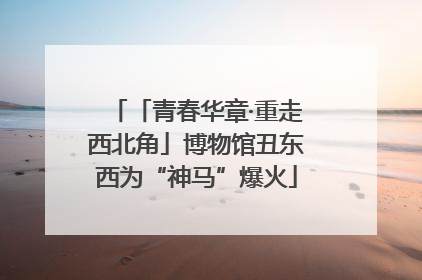 「青春华章·重走西北角」博物馆丑东西为“神马”爆火