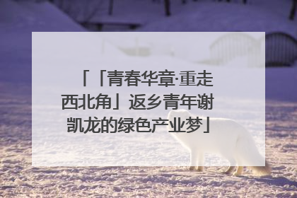 「青春华章·重走西北角」返乡青年谢凯龙的绿色产业梦