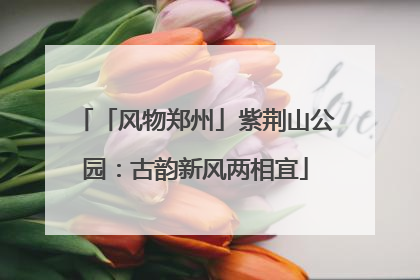 「风物郑州」紫荆山公园：古韵新风两相宜