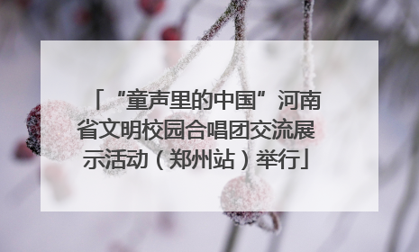 “童声里的中国”河南省文明校园合唱团交流展示活动（郑州站）举行