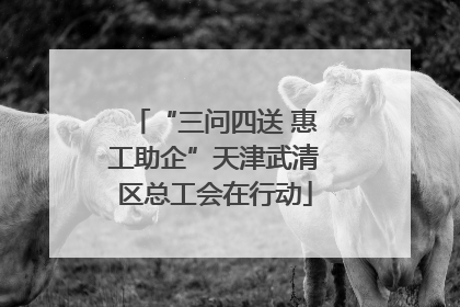 “三问四送 惠工助企”天津武清区总工会在行动