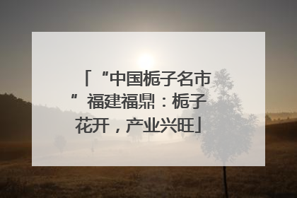 “中国栀子名市”福建福鼎：栀子花开，产业兴旺