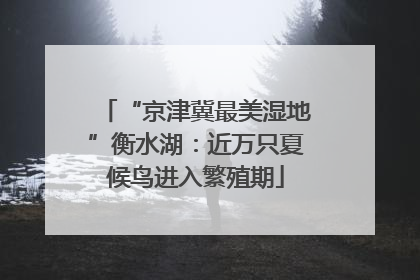 “京津冀最美湿地”衡水湖：近万只夏候鸟进入繁殖期