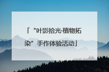 “叶影拾光·植物拓染”手作体验活动
