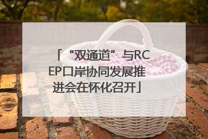 “双通道”与RCEP口岸协同发展推进会在怀化召开