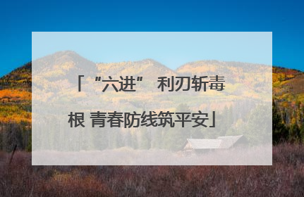 “六进” 利刃斩毒根 青春防线筑平安