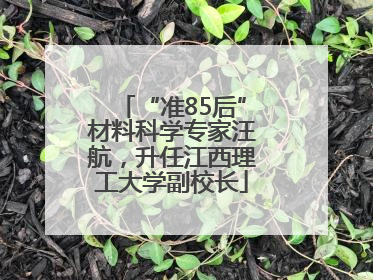 “准85后”材料科学专家汪航，升任江西理工大学副校长