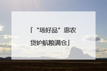 “场好品”惠农贷护航粮满仓