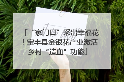 “家门口”采出幸福花！宝丰县金银花产业激活乡村“造血”功能