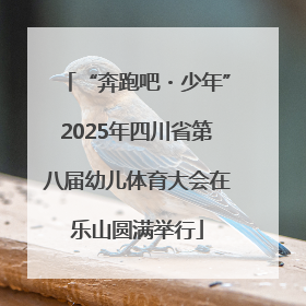 “奔跑吧・少年”2025年四川省第八届幼儿体育大会在乐山圆满举行