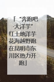 “奔跑吧·大洋芋”红土地洋芋花海越野跑在昆明市东川区热力开跑
