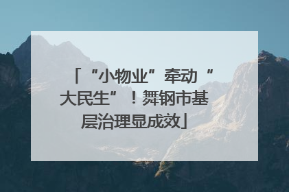 “小物业”牵动“大民生”！舞钢市基层治理显成效
