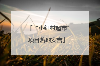 “小红村超市”项目落地安吉