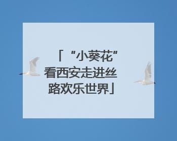 “小葵花”看西安走进丝路欢乐世界