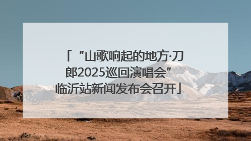“山歌响起的地方·刀郎2025巡回演唱会”临沂站新闻发布会召开