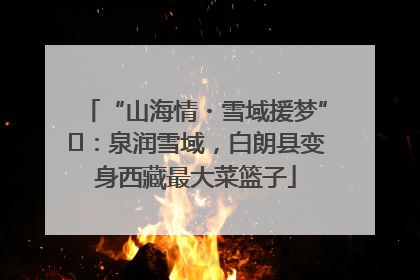 “山海情・雪域援梦”⑪：泉润雪域，白朗县变身西藏最大菜篮子