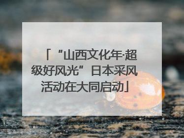 “山西文化年·超级好风光”日本采风活动在大同启动