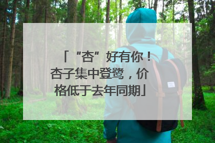 “杏”好有你！杏子集中登鹭，价格低于去年同期