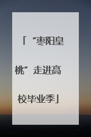 “枣阳皇桃”走进高校毕业季
