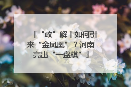 “政”解丨如何引来“金凤凰”？河南亮出“一盘棋”