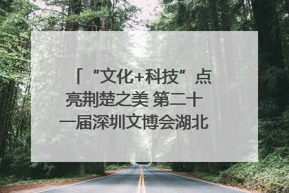 “文化+科技”点亮荆楚之美 第二十一届深圳文博会湖北馆抢“鲜”看