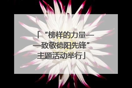 “榜样的力量——致敬德阳先锋”主题活动举行