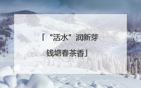 “活水”润新芽 钱塘春茶香