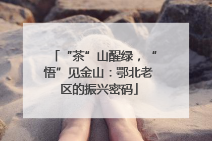 “茶”山醒绿，“悟”见金山：鄂北老区的振兴密码