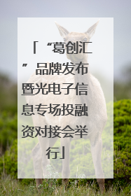 “葛创汇”品牌发布暨光电子信息专场投融资对接会举行