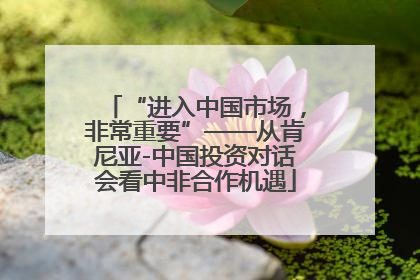 “进入中国市场，非常重要”——从肯尼亚-中国投资对话会看中非合作机遇