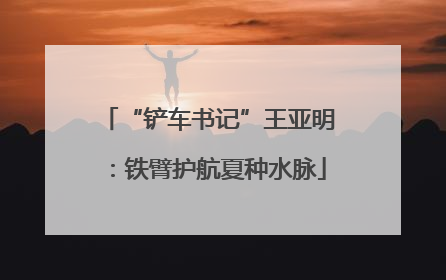 “铲车书记”王亚明：铁臂护航夏种水脉