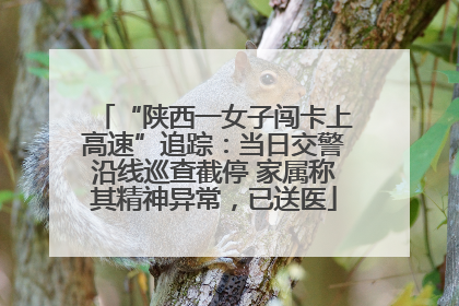 “陕西一女子闯卡上高速”追踪：当日交警沿线巡查截停 家属称其精神异常，已送医