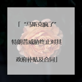 “马斯克疯了” 特朗普威胁终止对其政府补贴及合同