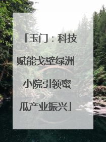 玉门：科技赋能戈壁绿洲 小院引领蜜瓜产业振兴
