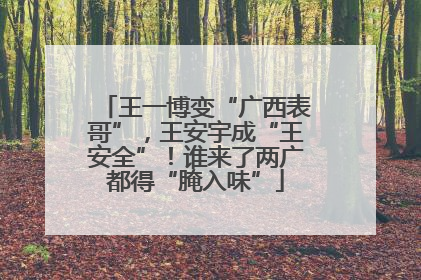 王一博变“广西表哥”，王安宇成“王安全”！谁来了两广都得“腌入味”