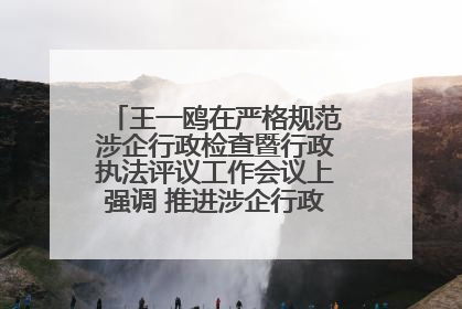 王一鸥在严格规范涉企行政检查暨行政执法评议工作会议上强调 推进涉企行政检查质效大幅提升