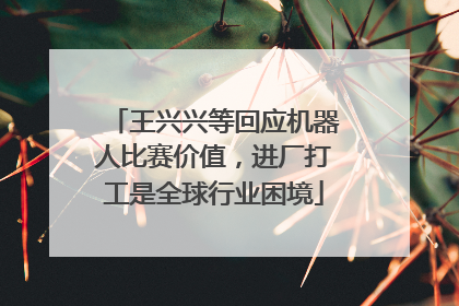 王兴兴等回应机器人比赛价值，进厂打工是全球行业困境