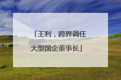王利，跨界调任大型国企董事长