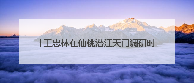 王忠林在仙桃潜江天门调研时强调 扎实开展深入贯彻中央八项规定精神学习教育 以作风建设新成效加快推动高质量发展