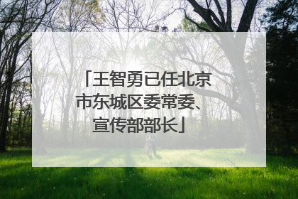 王智勇已任北京市东城区委常委、宣传部部长