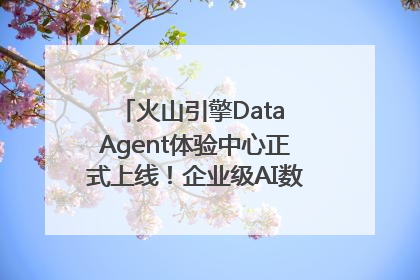 火山引擎Data Agent体验中心正式上线！企业级AI数据专家触手可及