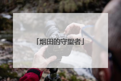 烟田的守望者